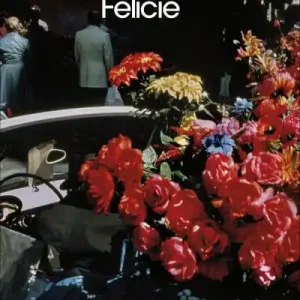 Direct From Factory Félicie