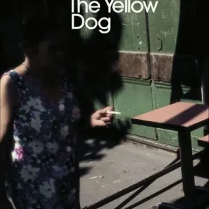 The Yellow Dog Shop Now