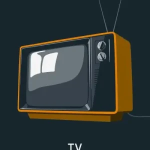 TV Secure Checkout