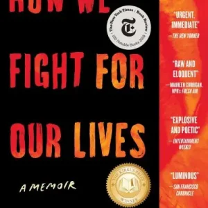 How We Fight For Our Lives Limited Offer