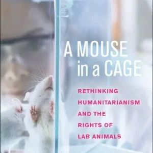 Final Sale A Mouse in a Cage