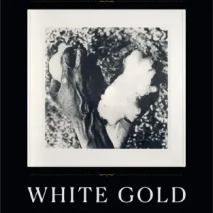Wholesale Black Bodies, White Gold