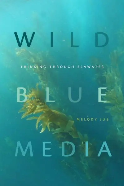 Wild Blue Media Discount