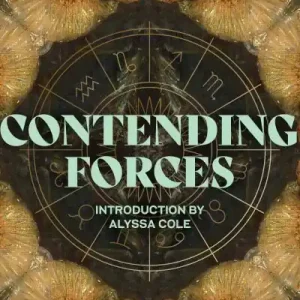 Low Price Contending Forces