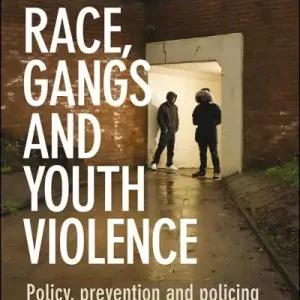 Free Shipping Race, Gangs and Youth Violence