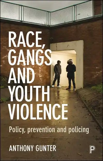Free Shipping Race, Gangs and Youth Violence