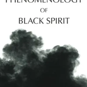 Phenomenology of Black Spirit Budget