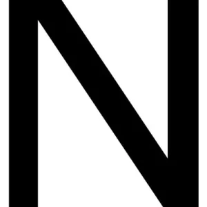 The N Word Get Yours