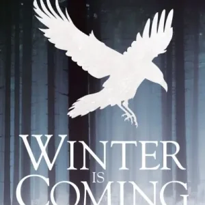 Winter Is Coming Crafted