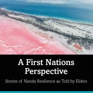 Big Sale A First Nations Perspective
