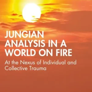 Jungian Analysis in a World on Fire Super Sale