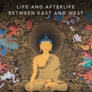 The Buddha Price Cut