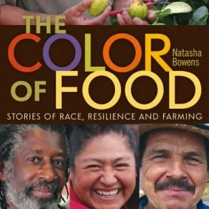 Best Price The Color of Food