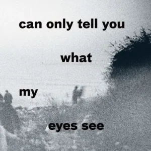 I Can Only Tell You What My Eyes See Certified