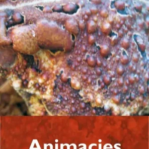 Animacies Premium