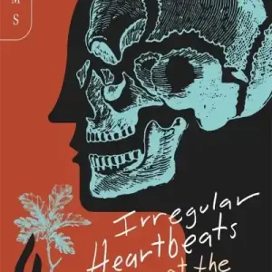 Brand New Irregular Heartbeats At the Park West