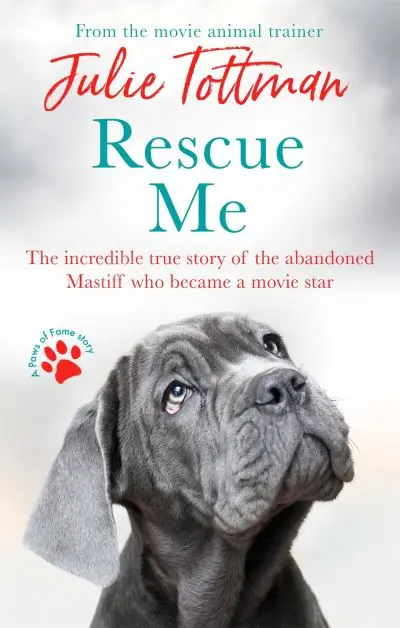 Today Only Rescue Me