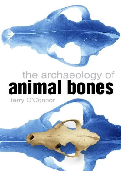 The Archaeology of Animal Bones Sale