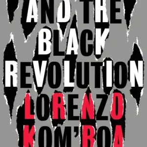Wholesale Anarchism and the Black Revolution