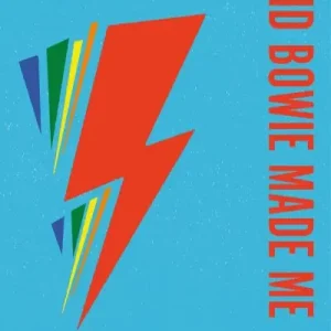 Limited Edition David Bowie Made Me Gay