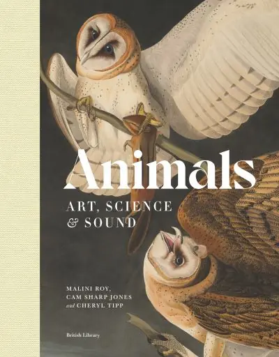 Big Sale Animals