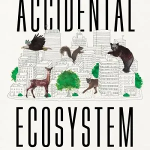 Best Choice The Accidental Ecosystem