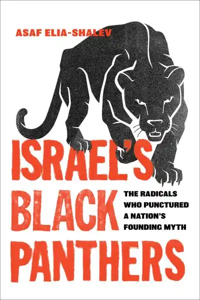 Israel's Black Panthers Today Only