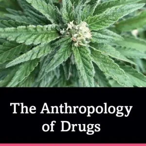 Best Choice The Anthropology of Drugs