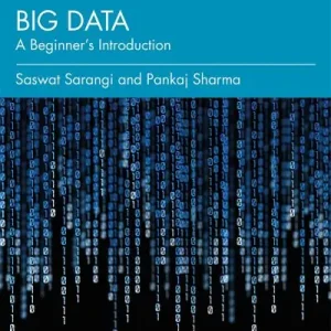 Limited Time Big Data