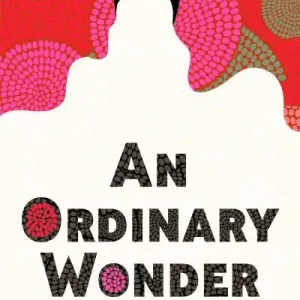 An Ordinary Wonder Save Now