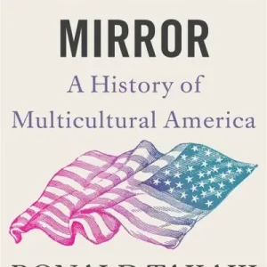 A Different Mirror In Demand