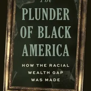 Super Sale The Plunder of Black America