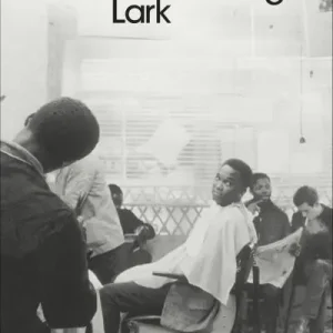 Viral The Housing Lark