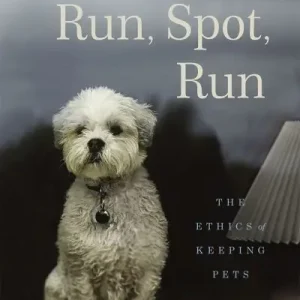 Run, Spot, Run Mega Sale