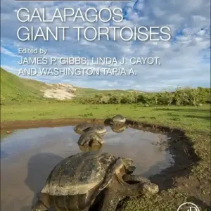 Galapagos Giant Tortoises Special Offer