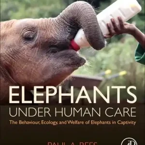 Wholesale Elephants Under Human Care