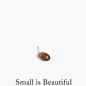 Price Drop Small Is Beautiful