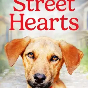 Trusted Brand Street Hearts