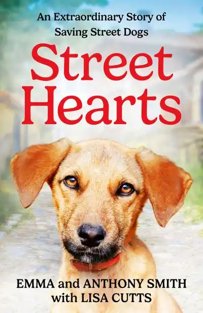 Street Hearts Cheap