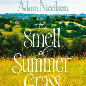 Low Price Smell of Summer Grass