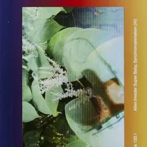 Alien Invader Super Baby (Synchromaterialism IV) Hassle-Free Returns