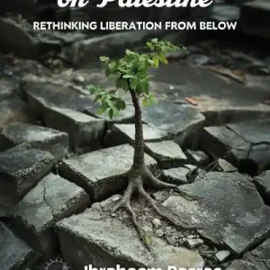A Manifesto on Palestine: Rethinking Liberation From Below Fast Shipping