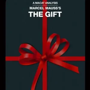 Reduced Price An Analysis of Marcel Mauss's The Gift