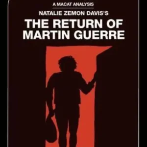 An Analysis of Natalie Zemon Davis's The Return of Martin Guerre Hot Deal