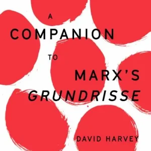 A Companion To Marx's Grundrisse Direct From Factory