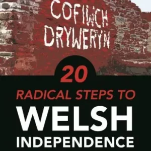 20 Radical Steps To Welsh Independence Reduced Price