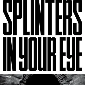 Budget Splinters in Your Eye