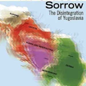 A Politics of Sorrow Best Seller