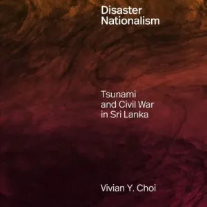 Disaster Nationalism Big Sale